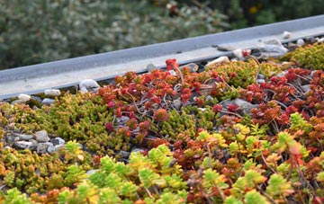 the cost of Courtsend green roof installation