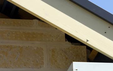 soffit repair Courtsend